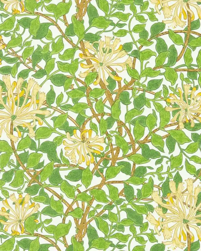 William Morris & Co. Tapetti - Honeysuckle cream/chocolate Ilmainen Palautus