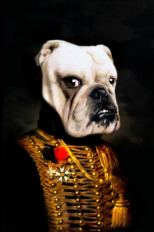 Juliste - Bulldog Uniformussa Merkkituote