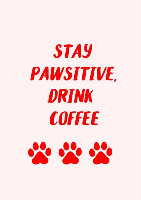 Juliste - Stay Pawsitive Drink Coffee Pikatoimitus