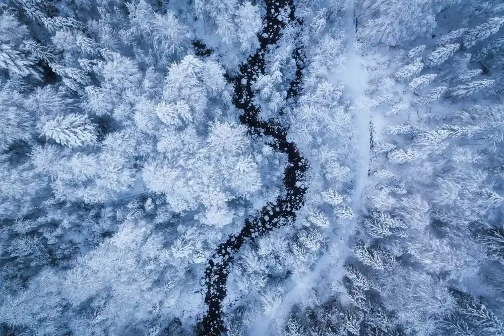 Juliste - Talvimetsä Ilmakuva Kampanjahinta