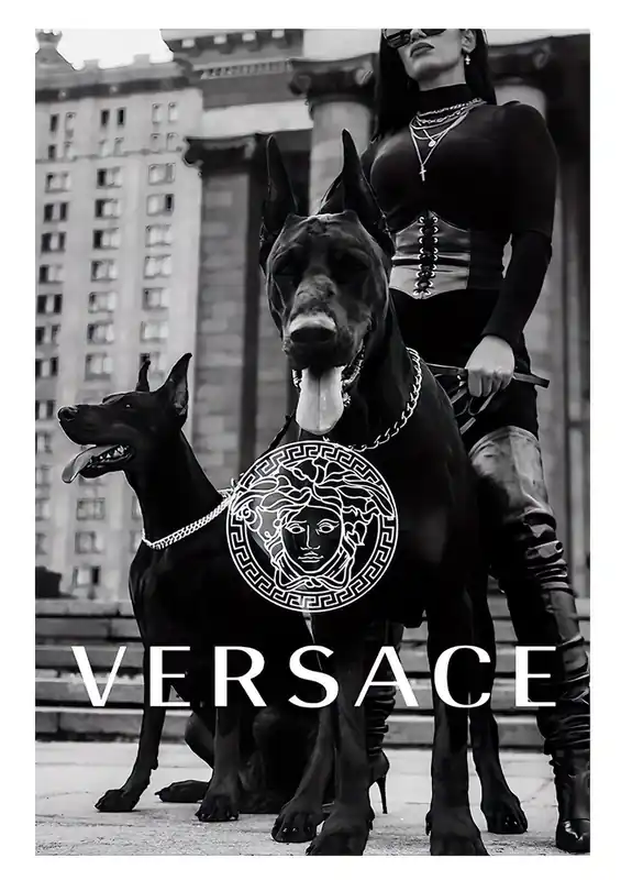 Vain Rajoitetun Ajan Versace Fashion Seinäjuliste