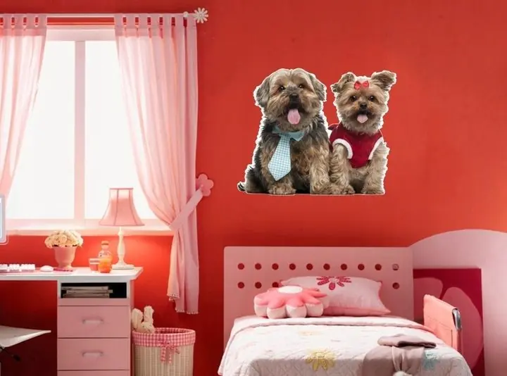Seinätarra - Shih Tzu Löytö