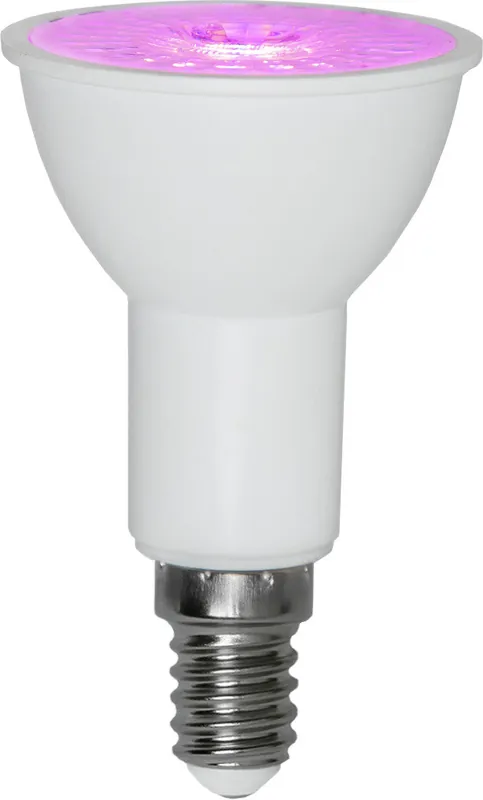 Erikoistarjous LED-kasvilamppu Star Trading Plant Light, E14, PAR16, 50lm