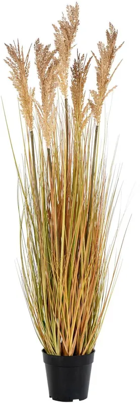 Kausialennus Tekokasvi House Nordic Sudaninruoho Sorghum Grass, 110cm, ruskea