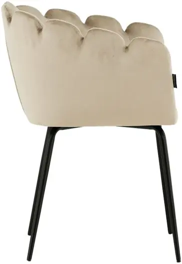 Ruokapöydän tuoli Furniture Fashion Limhamn, käsinojat, beige Eniten Myyty