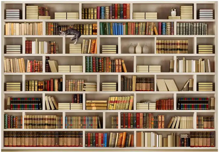 Sisustustarra Artgeist Home library eri kokoja Poisto