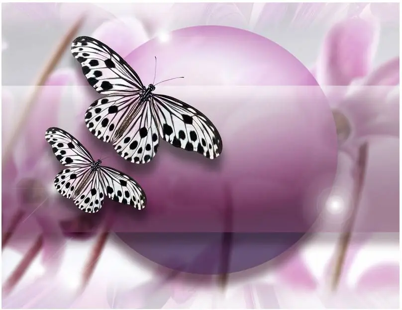 Kuvatapetti Artgeist Fly Butterfly! eri kokoja Viikonlopputarjous
