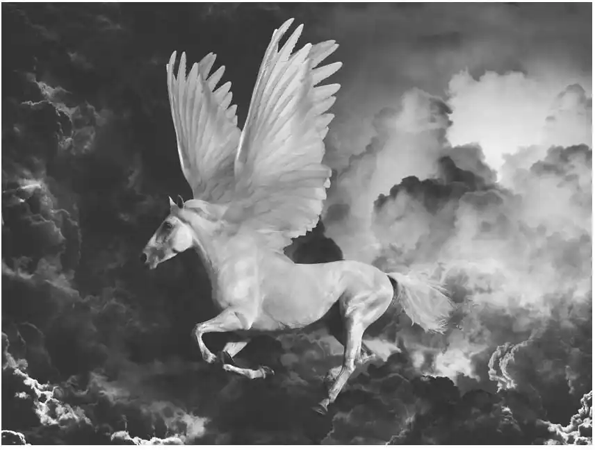 Kuvatapetti Artgeist Pegasus II eri kokoja Tukkuhinta