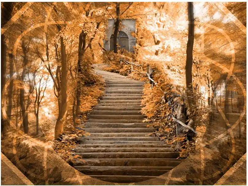 Metsätapetti Artgeist Stairs to paradise, eri kokoja Korkea Laatu