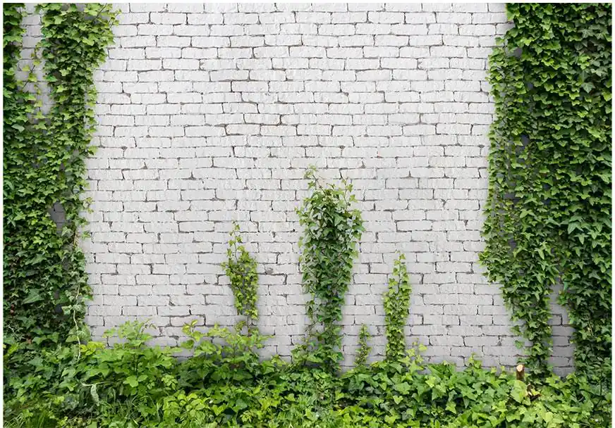 Kuvatapetti Artgeist Creeping ivy, tiiliseinä, eri kokoja Tilaa Heti