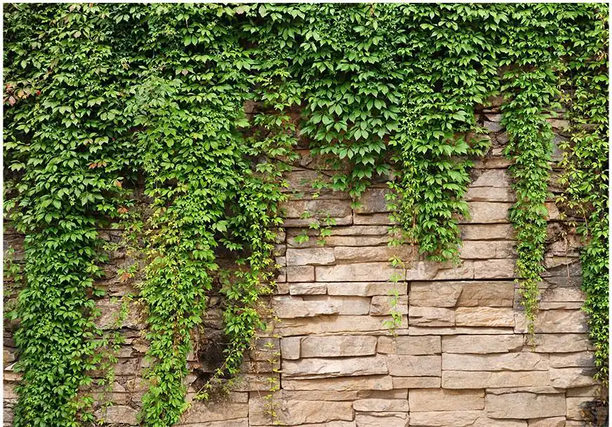 Alennettu Hinta Kuvatapetti Artgeist Ivy wall eri kokoja