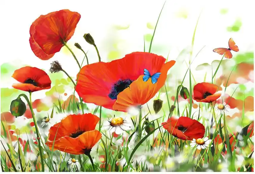 Heti Saatavilla Kuvatapetti Artgeist Country poppies, 270x400cm, punainen